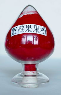 蓝靛果果汁粉 黑龙江省尚志绿野浆果有限责任公司